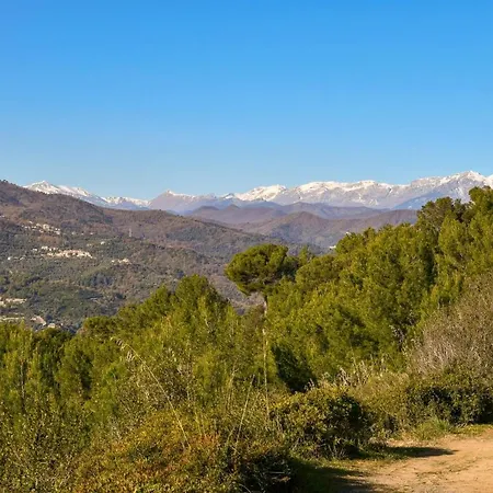 Ca Veggia For Nature Lovers - Happy *